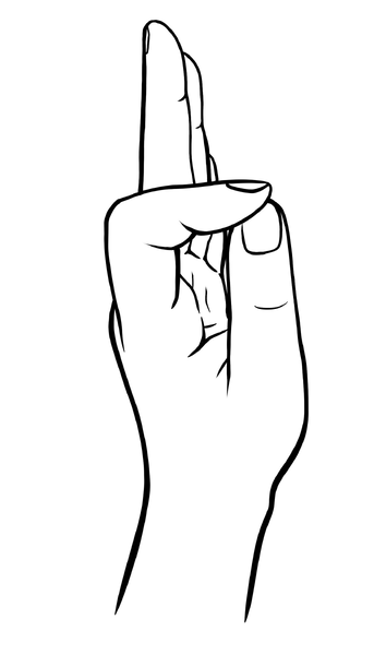 Fil:Phimis mundra.png